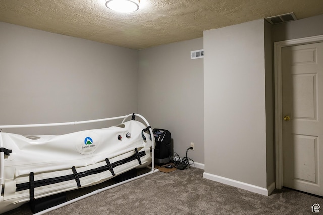 63 S 100 W Unit 17, American Fork, UT 84003 - misc room featuring carpet flooring and a textured ceiling
