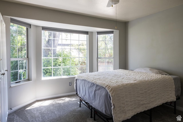 63 S 100 W Unit 17, American Fork, UT 84003 - carpeted bedroom with multiple windows and a ceiling fan