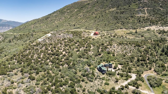 1227 E High Valley View Cir, Cedar City, UT 84720 - photo 88