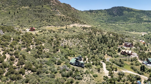 1227 E High Valley View Cir, Cedar City, UT 84720 - photo 87