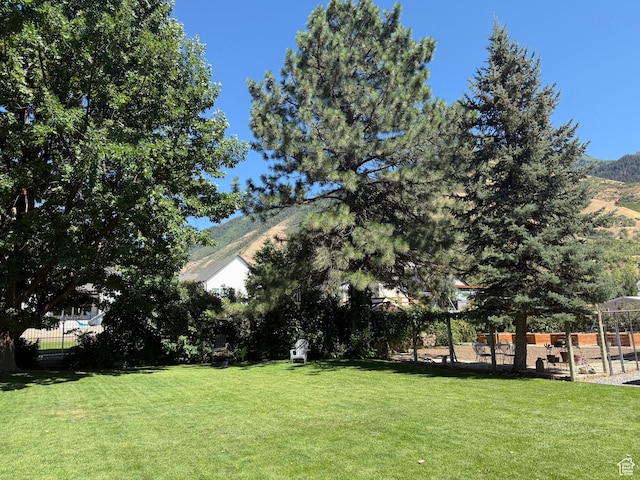 1990 E 400 N, Mapleton, UT 84664 - view of yard