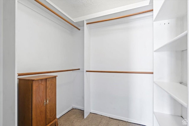 4970 S 4150 W, Roy, UT 84067 - spacious closet with carpet