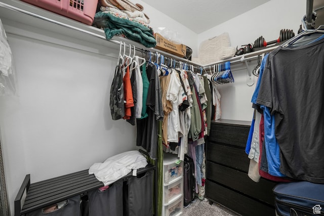 1244 E 800 N Unit 43, Spanish Fork, UT 84660 - view of walk in closet