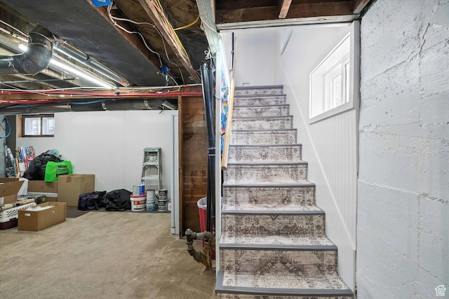 367 W 400 N, Malad City, ID 83252 - stairs featuring carpet floors