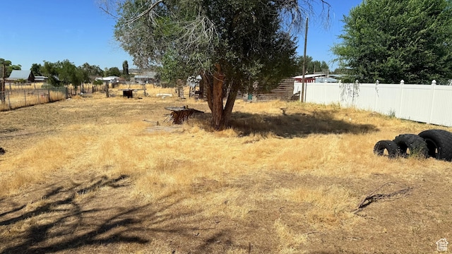 60 W 100th St N, Fillmore, UT 84631 - view of yard