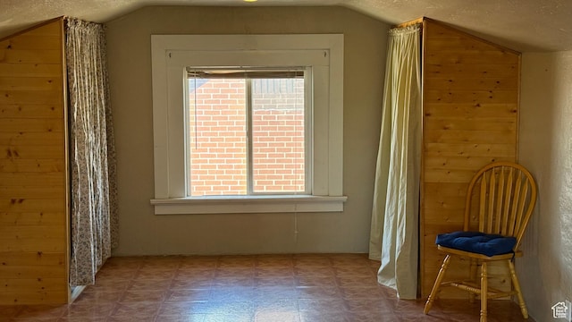 60 W 100th St N, Fillmore, UT 84631 - bonus room featuring vaulted ceiling, plenty of natural light, a textured ceiling, and wooden walls