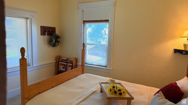 60 W 100th St N, Fillmore, UT 84631 - bedroom with multiple windows