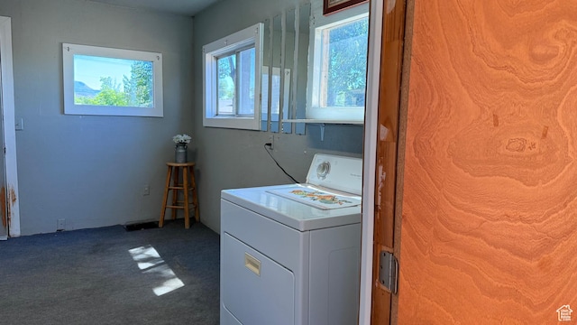 60 W 100th St N, Fillmore, UT 84631 - laundry room with washer / clothes dryer and carpet