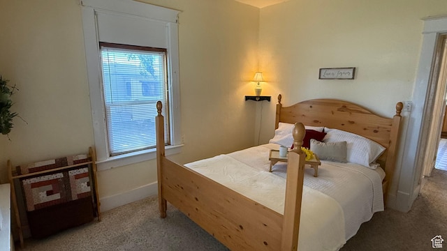 60 W 100th St N, Fillmore, UT 84631 - bedroom featuring carpet flooring and multiple windows