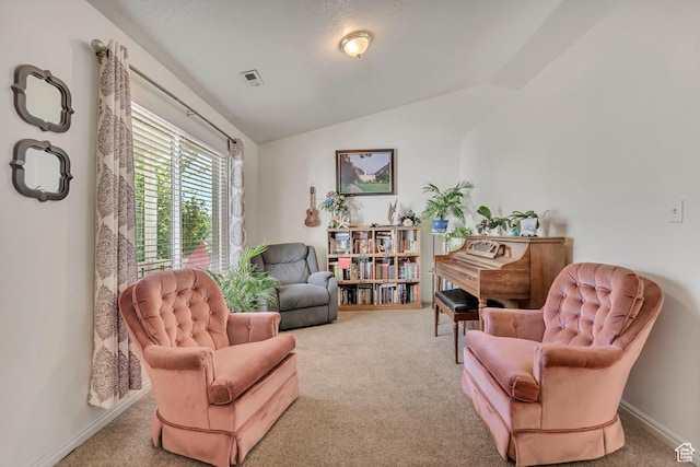 3149 E 1610 S, Spanish Fork, UT 84660 - sitting room with carpet floors and lofted ceiling