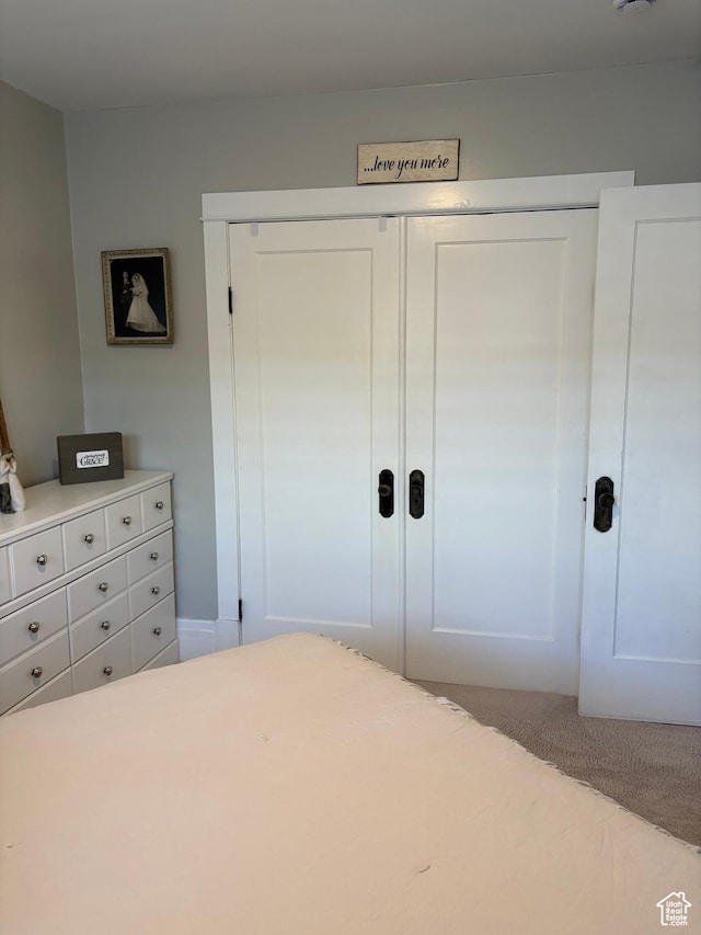 2044 Madison Ave, Ogden, UT 84401 - bedroom with a closet and carpet
