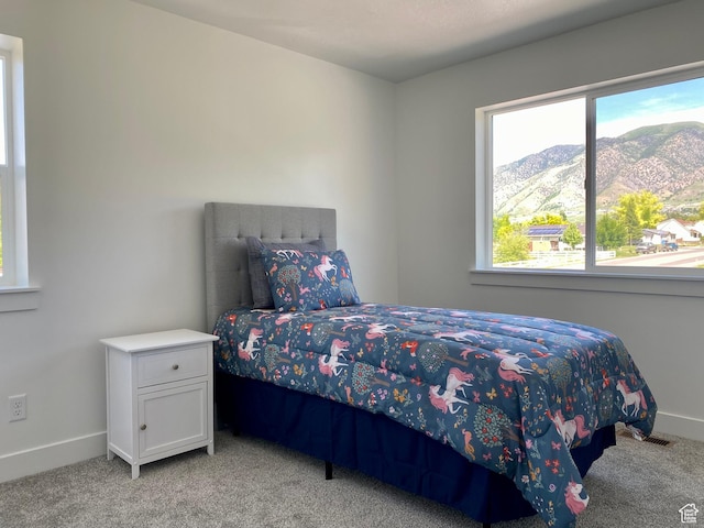 497 W 400 S, Providence, UT 84332 - photo 7