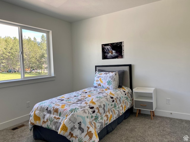 497 W 400 S, Providence, UT 84332 - photo 6