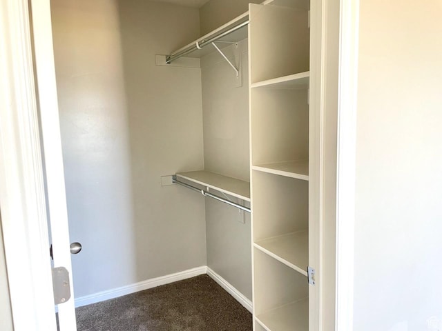 2126 W Fernside St, West Haven, UT 84401 - walk in closet featuring dark carpet
