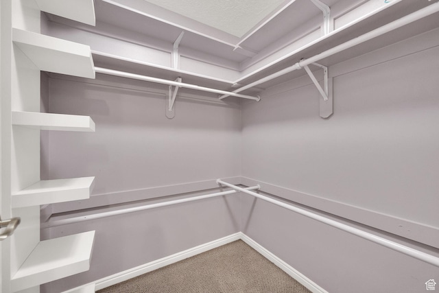 797 E 10 S, American Fork, UT 84003 - walk in closet with carpet