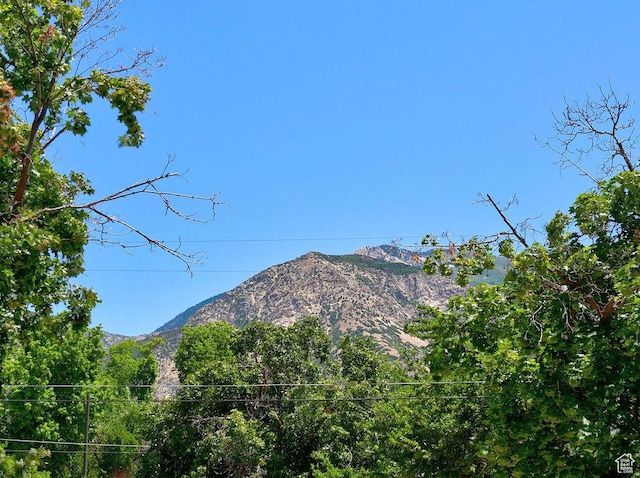 3165 S Jackson Ave, Ogden, UT 84403 - mountain view