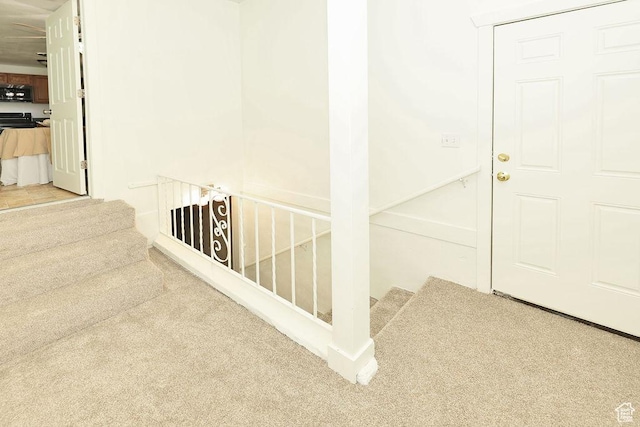 3165 S Jackson Ave, Ogden, UT 84403 - stairs featuring carpet floors