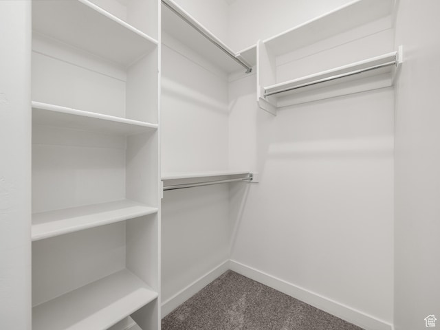 475 S 900 W, American Fork, UT 84003 - walk in closet with dark colored carpet