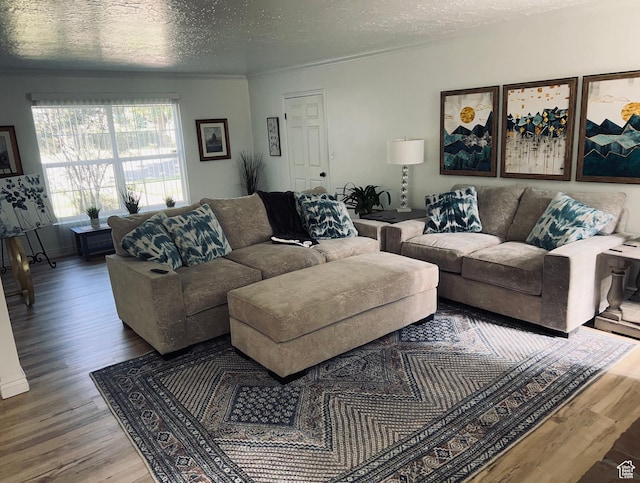 2537 S Taylor Ave E, Ogden, UT 84401 - living area featuring wood finished floors and a textured ceiling