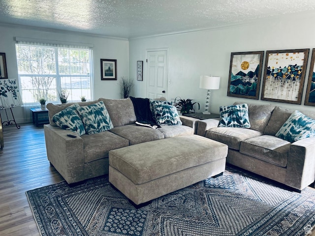 2537 S Taylor Ave E, Ogden, UT 84401 - living room with a textured ceiling, wood finished floors, and ornamental molding