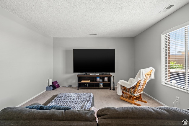 290 N 500 W Unit 210, Bountiful, UT 84010 - carpeted living room with a textured ceiling and baseboards
