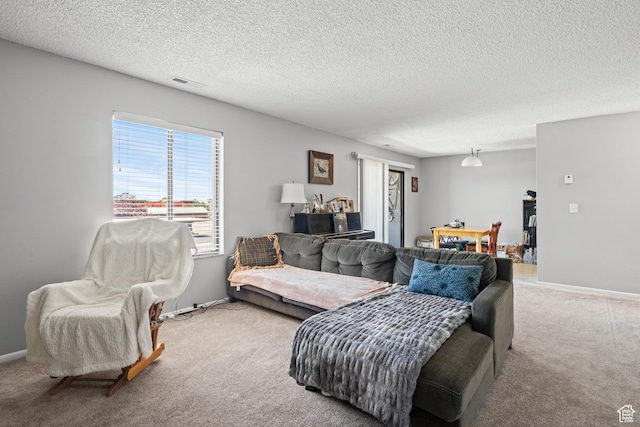 290 N 500 W Unit 210, Bountiful, UT 84010 - living area featuring carpet and a textured ceiling
