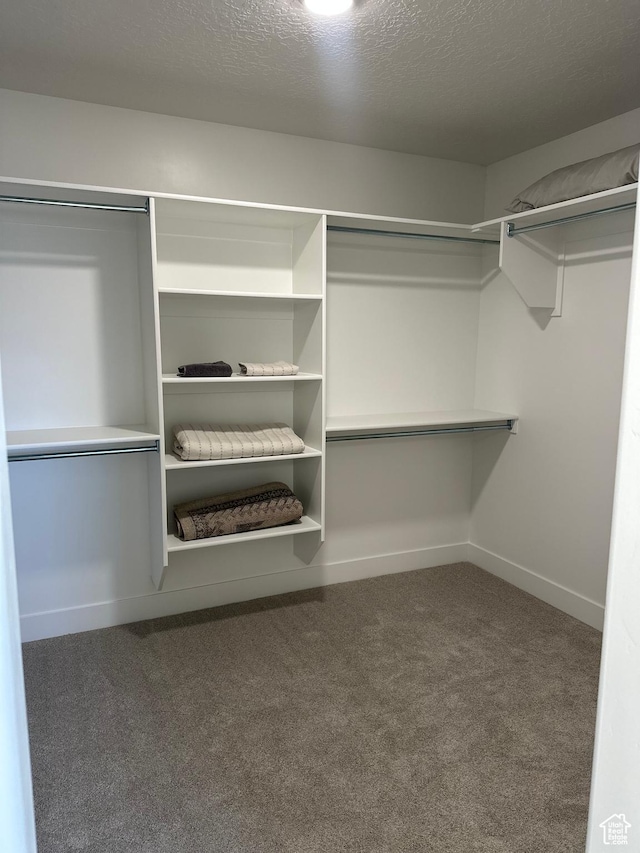325 S 2800 E Unit 203, Spanish Fork, UT 84660 - walk in closet with carpet flooring