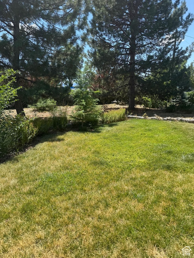 90 W Cherry St W, Grantsville, UT 84029 - view of green lawn