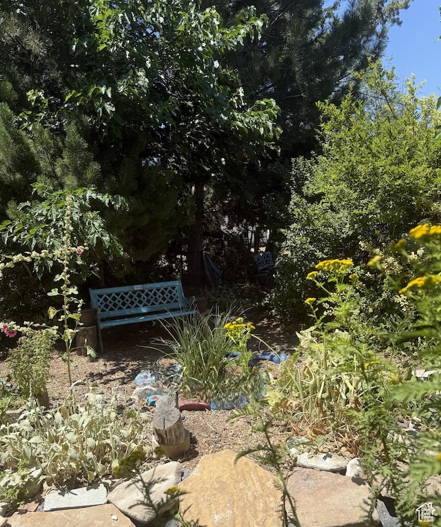 90 W Cherry St W, Grantsville, UT 84029 - view of yard