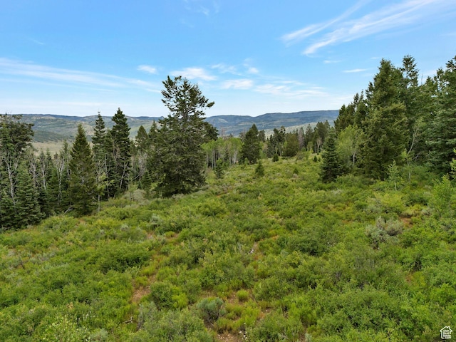 22703 E Snowbird Dr, Spanish Fork, UT 84660