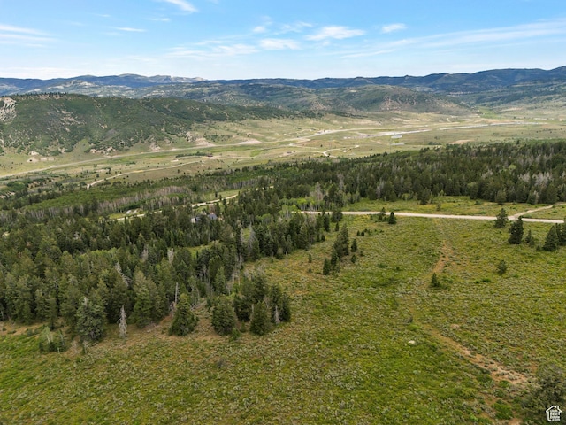22703 E Snowbird Dr, Spanish Fork, UT 84660