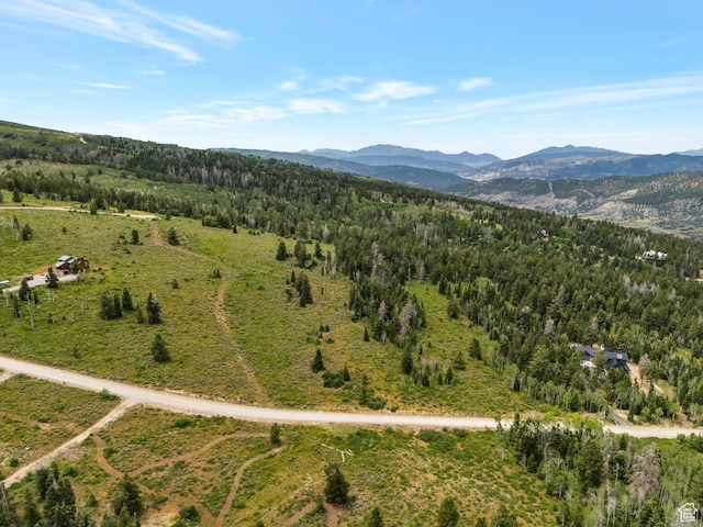 22703 E Snowbird Dr, Spanish Fork, UT 84660