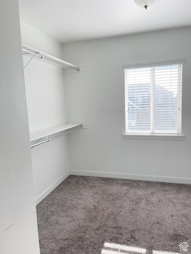 63 E Rose Way, Vineyard, UT 84059 - walk in closet featuring carpet floors