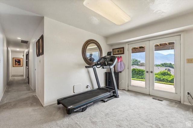 1252 N 100 E, American Fork, UT 84003 - exercise room with french doors and carpet