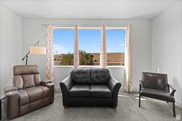 5160 W Villas N Dr N Unit 6-102, Hurricane, UT 84737 - sitting room with carpet floors and baseboards
