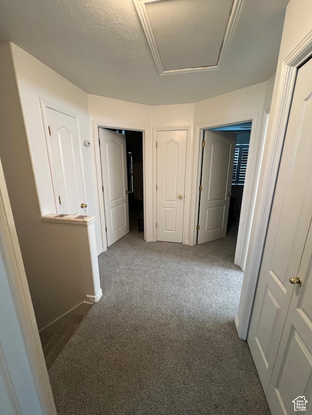 798 W Norway Maple Ct, Payson, UT 84651 - unfurnished bedroom with carpet floors and baseboards