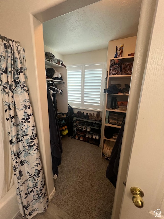 798 W Norway Maple Ct, Payson, UT 84651 - spacious closet featuring carpet floors