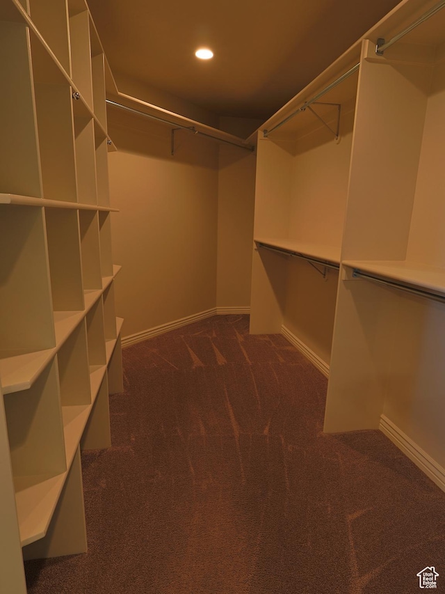 5160 W 5725 S, Hooper, UT 84315 - walk in closet with dark colored carpet