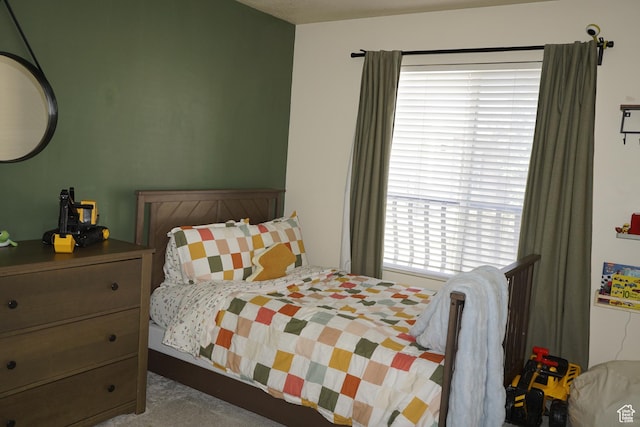 14072 S Julien Cv, Bluffdale, UT 84065 - view of carpeted bedroom