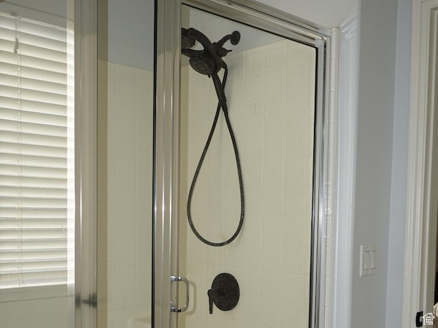 14072 S Julien Cv, Bluffdale, UT 84065 - bathroom view of a stall shower