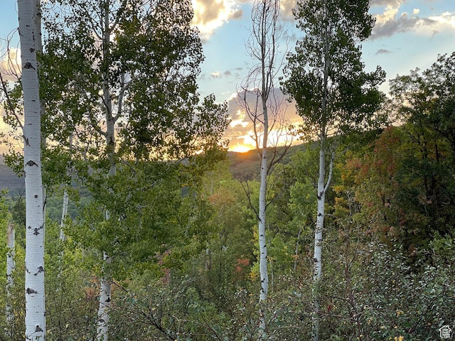 14675 E Austin Cir N Unit 83, Huntsville, UT 84317