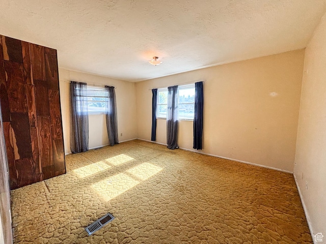 215 N Center St, Castle Dale, UT 84513 - spare room featuring carpet and a textured ceiling