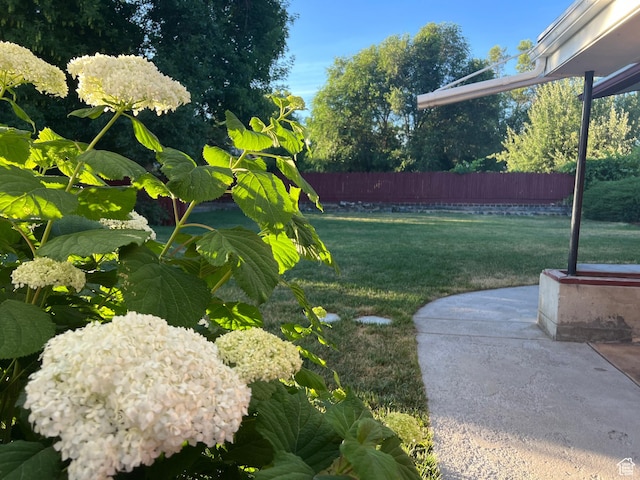 531 E 100 S, Logan, UT 84321 - view of yard