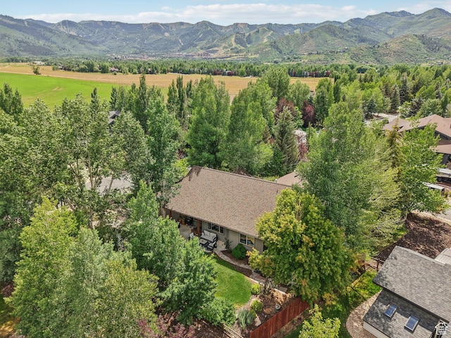 5150 Haystack Ct, Park City, UT 84098 - photo 33