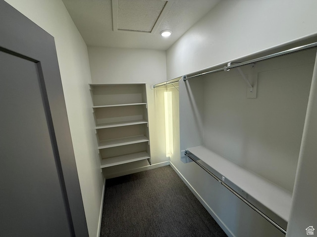 652 E 12225 S Unit 38, Draper, UT 84020 - spacious closet featuring dark colored carpet