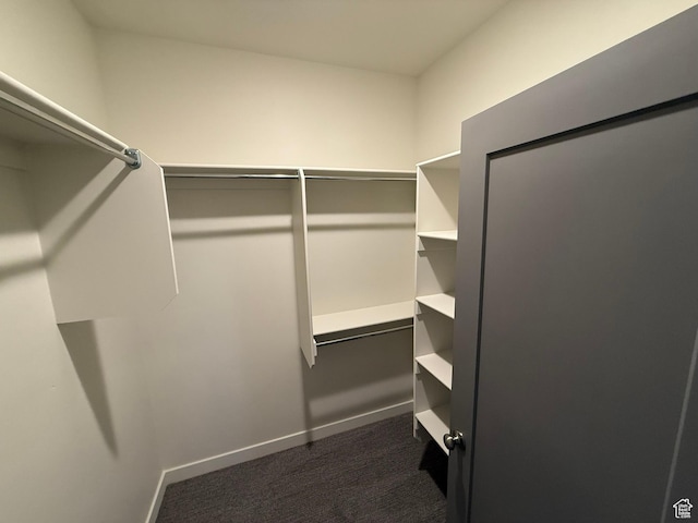 652 E 12225 S Unit 38, Draper, UT 84020 - spacious closet featuring dark colored carpet