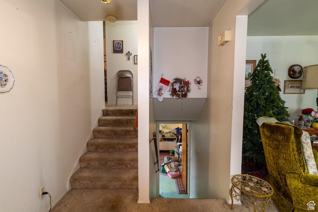 2040 Clara St, Layton, UT 84041 - photo 4