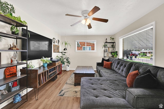 1634 N 350 W, Sunset, UT 84015 - living room with wood finished floors and ceiling fan