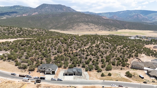 2787 W Rock Rd, Cedar City, UT 84720 - photo 47