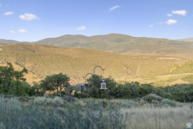 1751 Ridge Rd Unit 12, Wanship, UT 84017 - photo 57